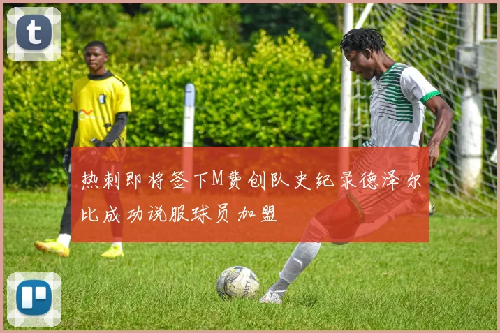 热刺即将签下M费创队史纪录德泽尔比成功说服球员加盟